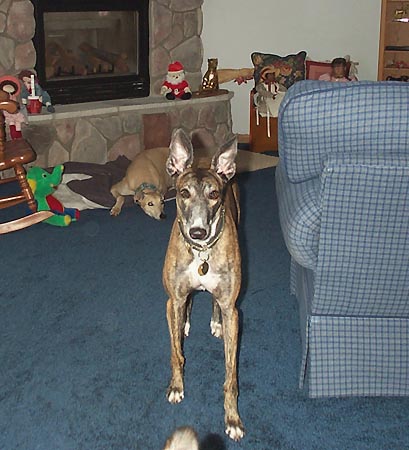 both2.jpg (54411 bytes)